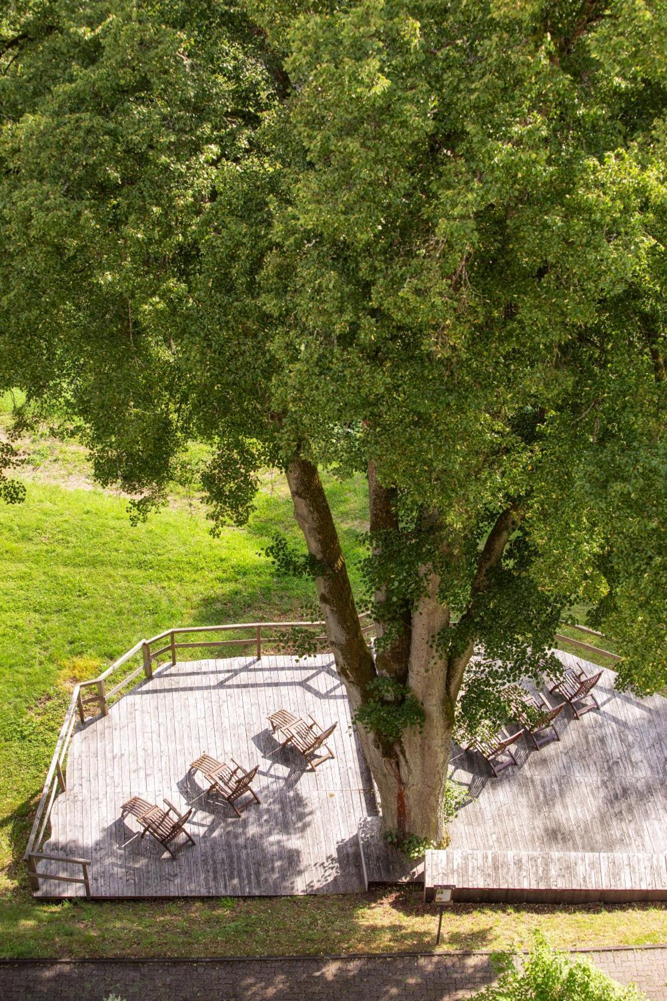 Roomingtons Hotel Franziskushoehe Lohr Exteriör bild