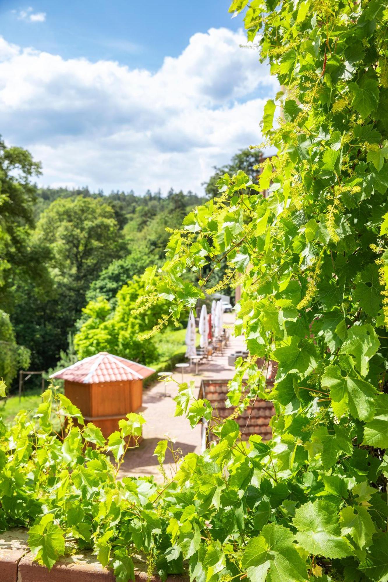Roomingtons Hotel Franziskushoehe Lohr Exteriör bild